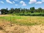 Land for Sale Trincomalee