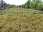 Land for Sale Trincomalee Road Karuvakkerney Valaichenai