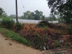 Land for Sale Udawalawa