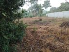Land for Sale Udawalawa