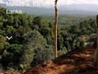 Land for Sale - Udawattakele, Kandy (EM1265)