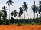 Land for Sale-Udubaddawa