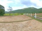 Land for Sale Udugampola