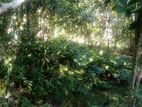 Land For Sale Udugampola