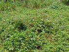 Land for Sale Udugampola