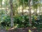 Land For Sale Udugampola