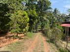 Land for Sale Udugampola