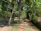 Land For Sale Udugampola