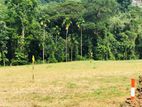 Land for Sale Udumulla