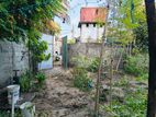 Land for Sale Maligaikadu