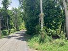 Land for sale-Kandy