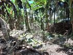 Land for Sale Matara