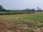 Land for Sale Urumperai