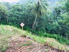 Land for Sale Uthuwankanda