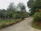 Land for Sale Uthuwankanda