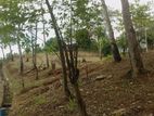 land for sale uthuwankanda