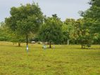 Land for Sale උයන්දන