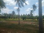 Land for Sale වාරියපොළ