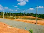 Land for Sale වැලිපැන්න , අලුත්ගම