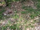 Land for Sale වැලිපිල්ලෑව