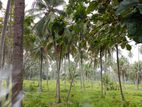 Land for Sale වැල්ලව