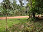 Land for Sale Valiveta ( Navil Hopita )