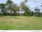 Land for sale valiveta road