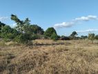 Land Sale Tharanikkulam