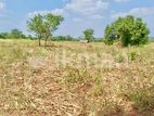 Land for Sale Vavuniya