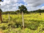 Land for Sale Vavuniya