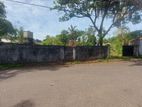 Land for Sale Very Close to Waragoda Road Peliyagoda (ID: PELI001)