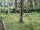 Land for Sale Veyangoda