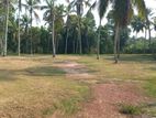 Land for Sale Veyangoda