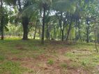 Land for Sale Veyangoda