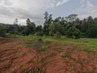 Land for Sale Veyangoda