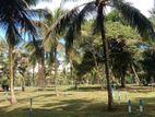 Land for Sale Veyangoda