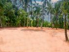 Land for Sale Veyangoda