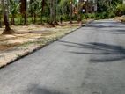 Land for Sale Veyangoda