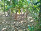 land for sale veyangoda