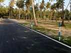 Land for Sale Veyangoda