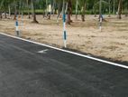 land for sale Veyangoda