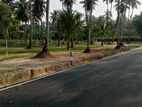 Land for Sale Veyangoda