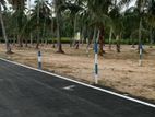 land For Sale Veyangoda