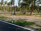land for sale Veyangoda