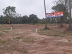 Land for Sale විලත්තව