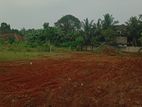 Land for Sale விற்பனைக்கு நிலம் – திருநெல்வேலி (கருவாப்புளம் வீதி)