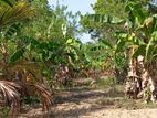Land for Sale - வளவு விற்பனைக்கு