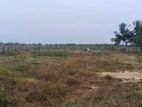Land for Sale -வளவு விற்பனைக்கு Akkaraipattu