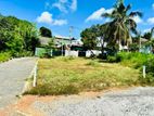 Land For Sale (වටිනා ඉඩමක් විකිණීමට )