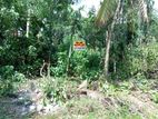 Land For Sale ( Wadduwa)